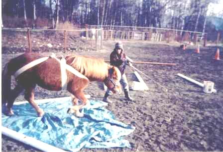 Raudi crossing tarp - Fall 2007